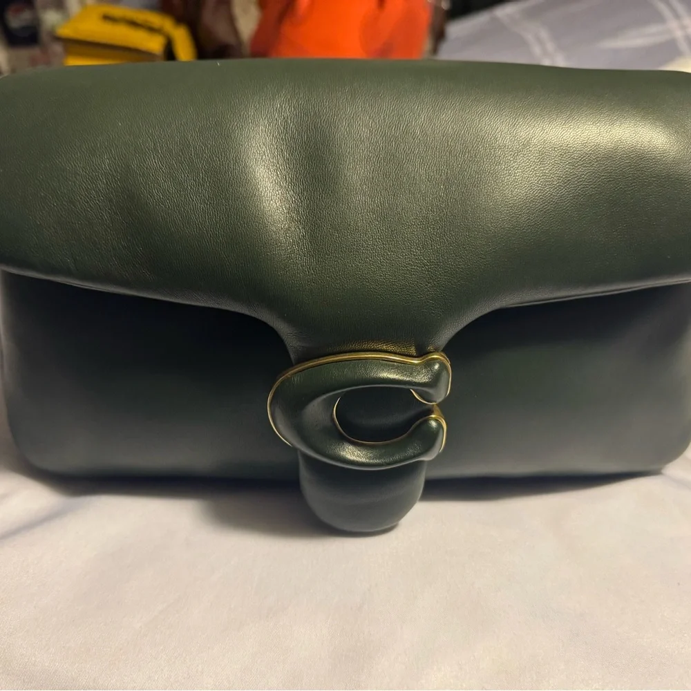 Coach pillow tabby 26 - Picture 2 of 7